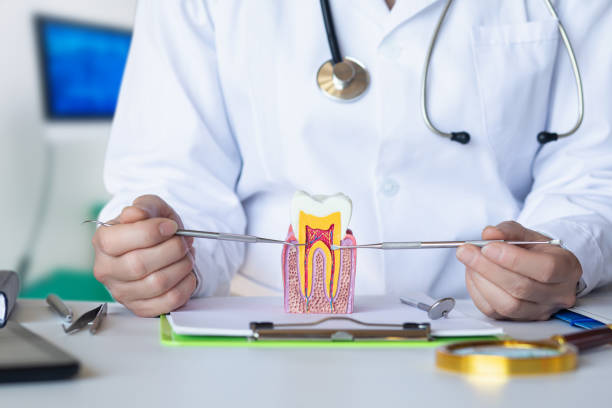 Best Emergency Tooth Extraction in Colstrip, MT